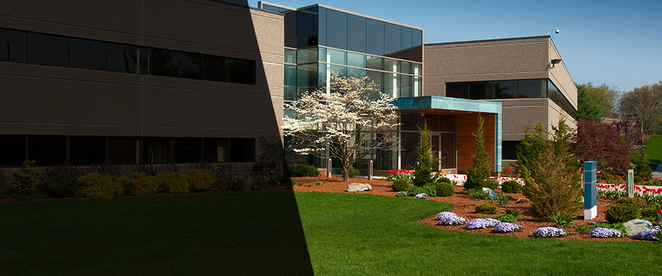 Elm City Landscapers