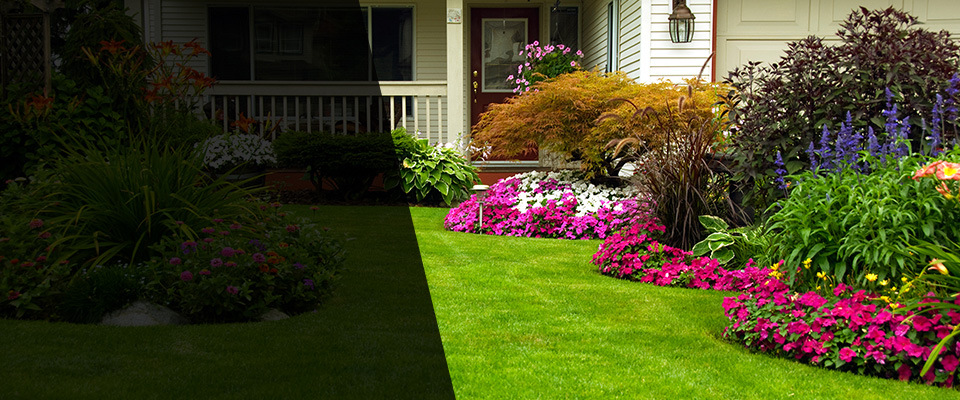 Elm City Landscapers