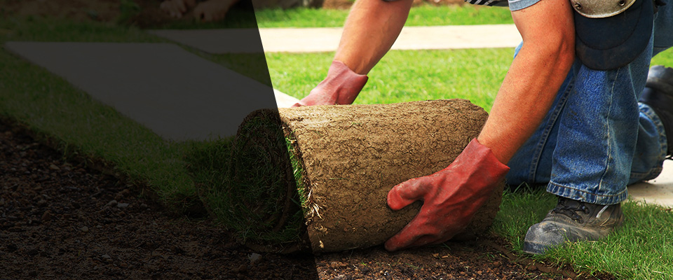 Elm City Landscapers